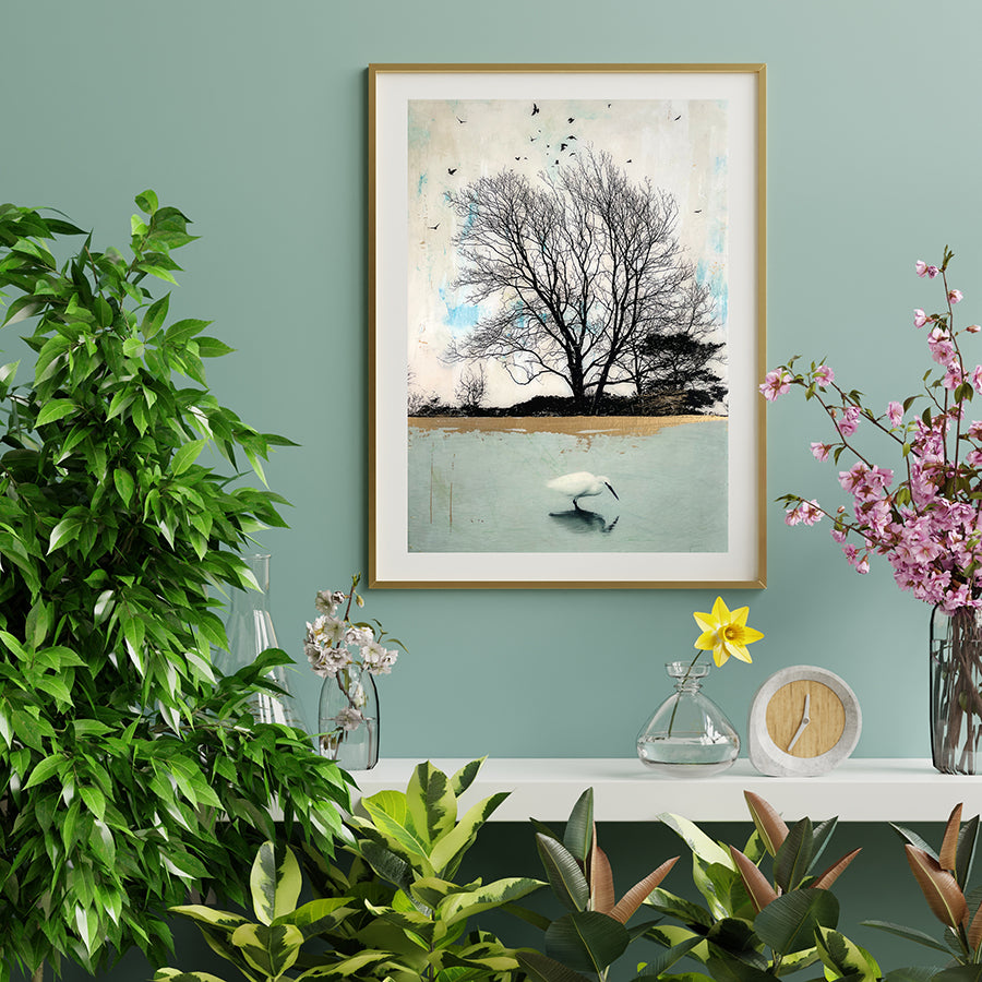 Fine Art Prints