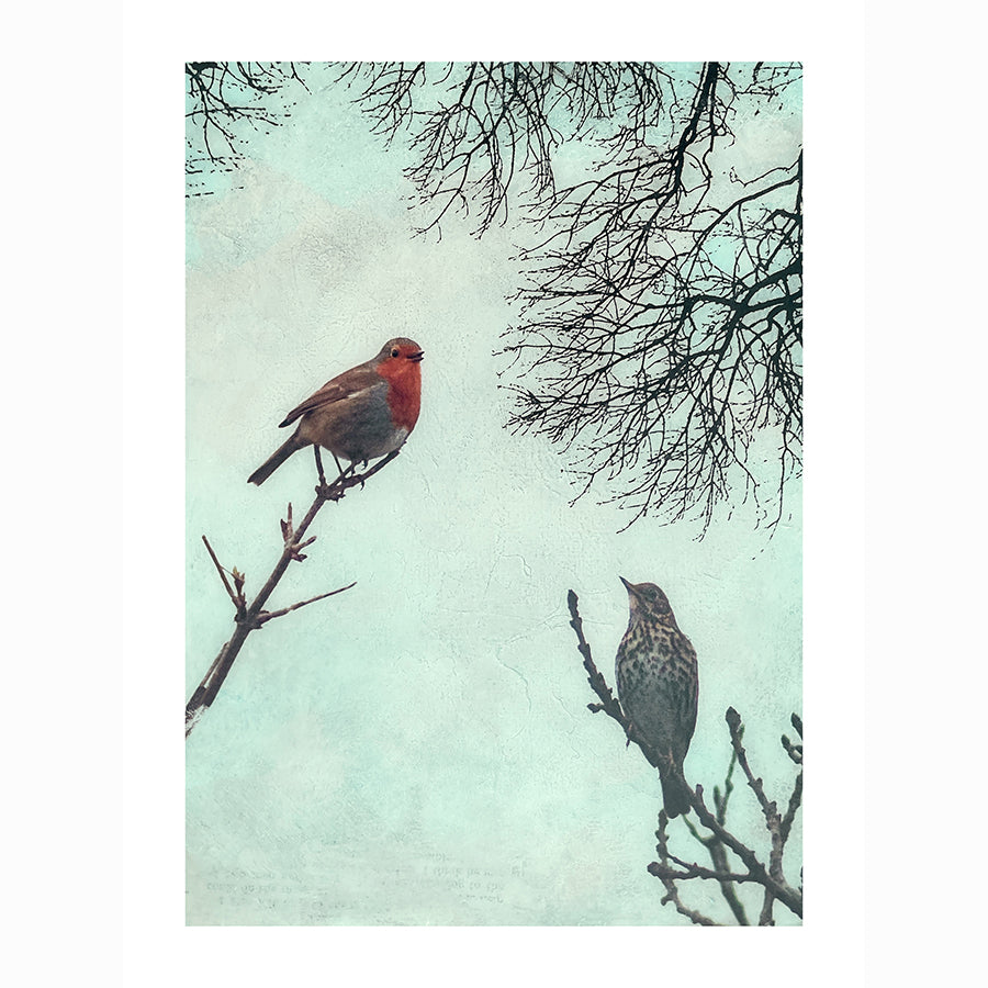 Let Your Song be Heard-Fine Art Print